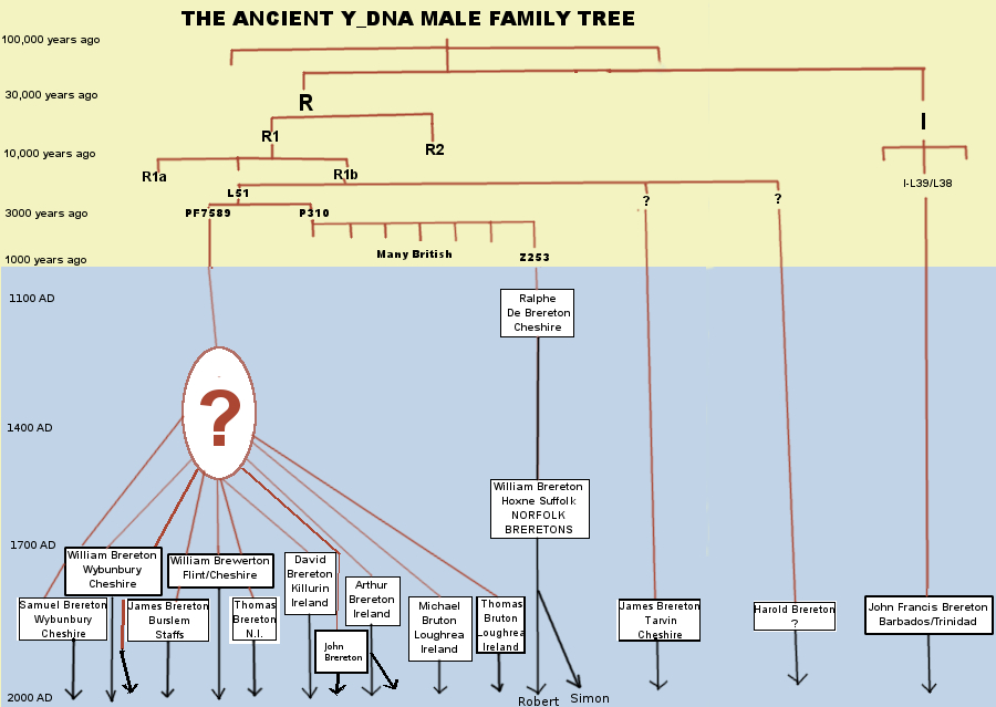 Brereton DNA project